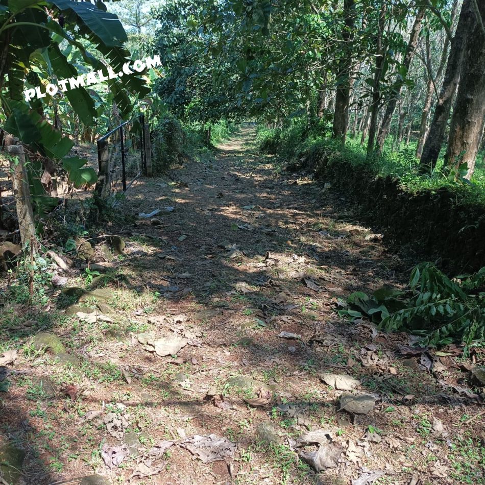 Agricultural Land For Sale