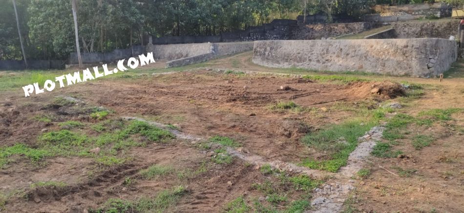 Agricultural Land For Sale