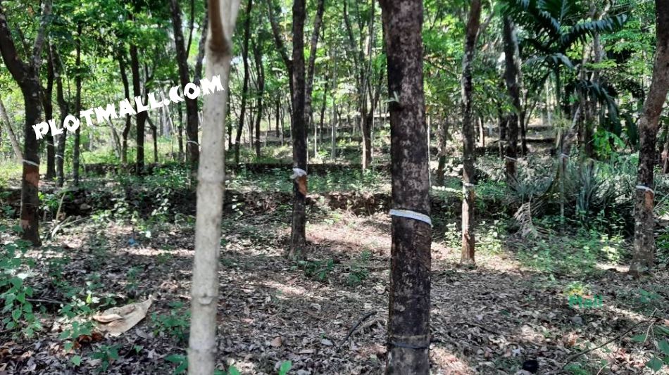 Agriculture Land For Sale In Vellarikundu
