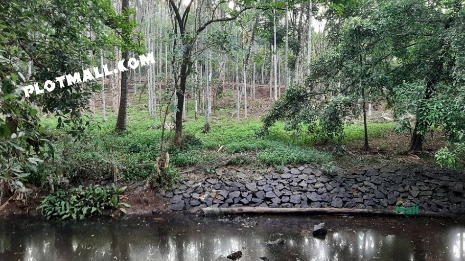 Agriculture Land For Sale In Vellarikundu