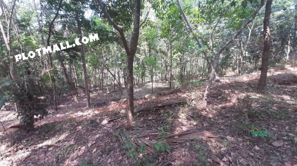 Agriculture Land For Sale In Vellarikundu