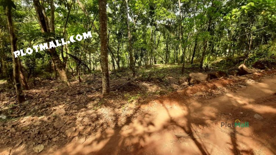 Agriculture Land For Sale In Vellarikundu