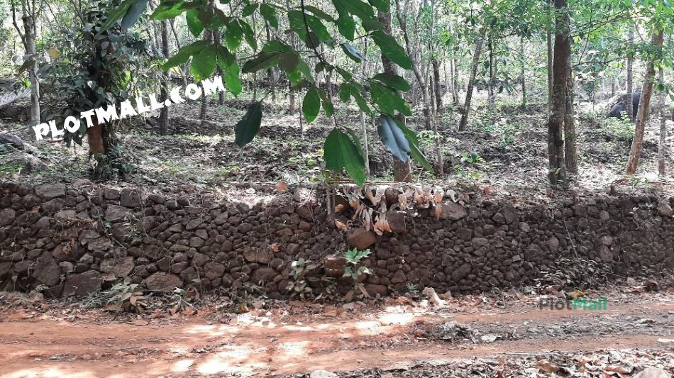 Agriculture Land For Sale In Vellarikundu