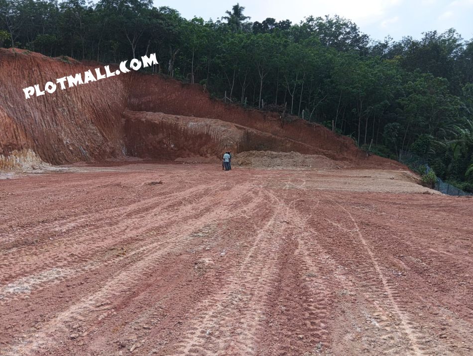 Commercial Land For Rent