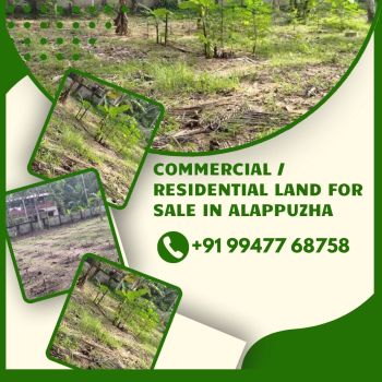 17 Cent Commercial Land for Sale at Alappuzha Budget - 450000 Cent