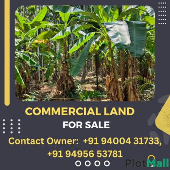 197 Cent Commercial Land for Sale at Kasaragod Budget - 80000 Cent