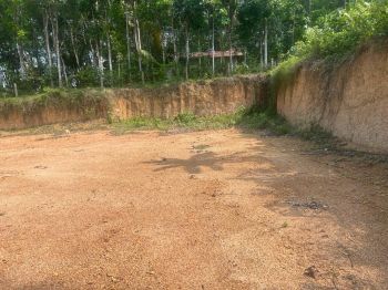 1.20 Acre Commercial Land for Rent at Nedumangad Budget - 8 Sq-ft