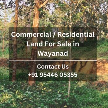 25 Cent Commercial Land for Sale at Vellamunda Budget - 60000 Cent