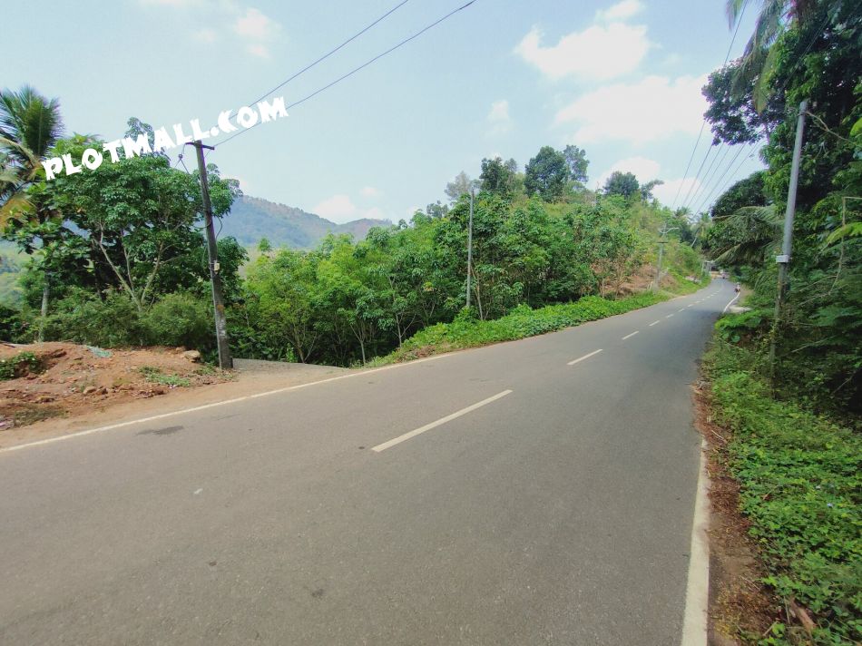 1.5 Acre Commercial Land for Sale at Amboori Budget - 55000 Cent