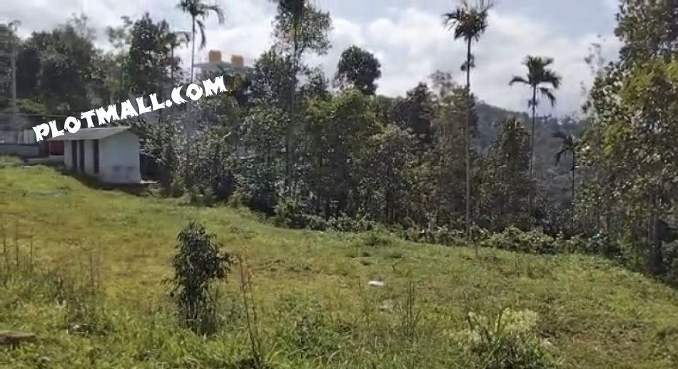 Commercial Land For Sale