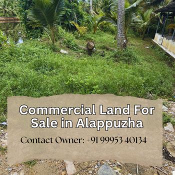 10 Acre Commercial Land for Sale at Aluva Budget - 50000 Cent