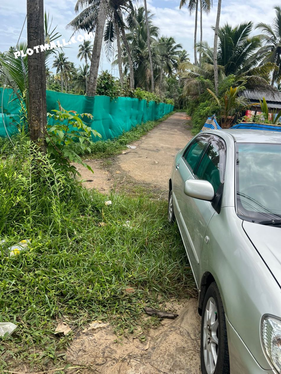 Commercial Land For Sale