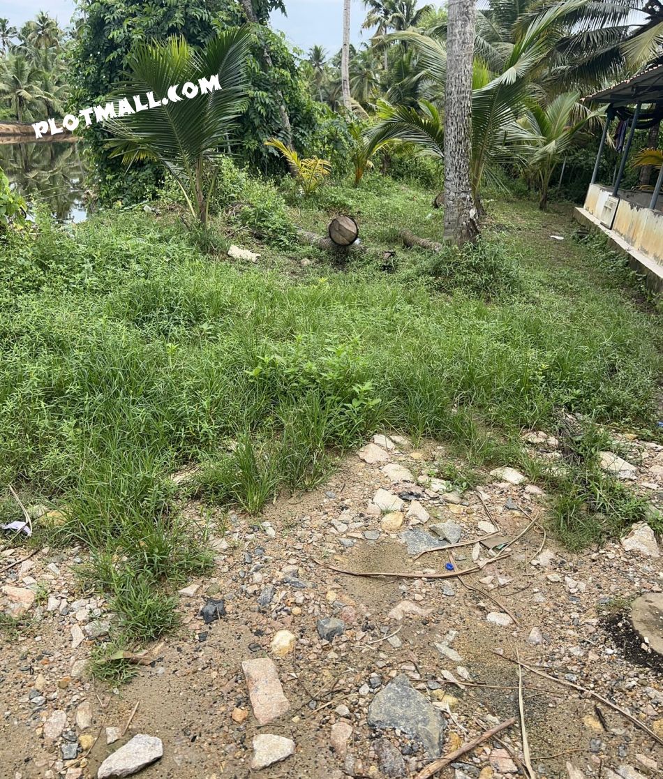 Commercial Land For Sale