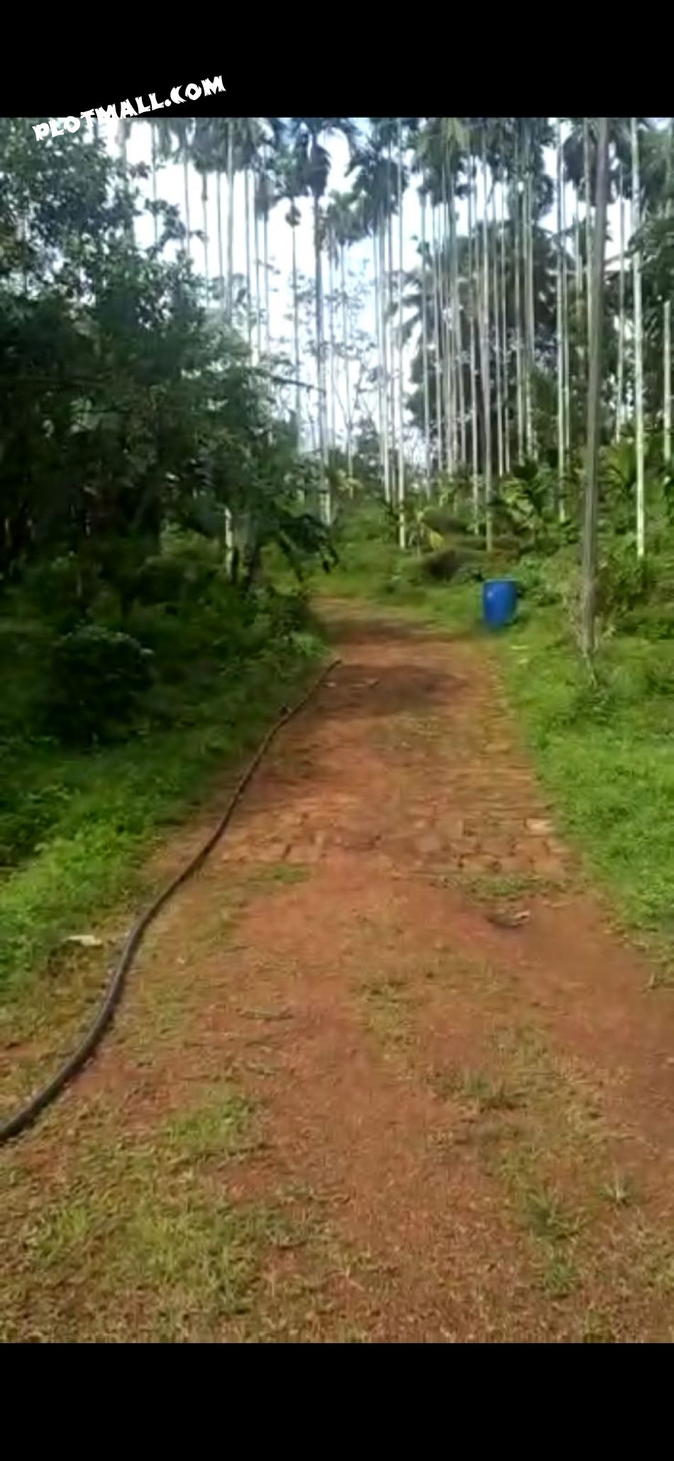 Commercial Land For Sale