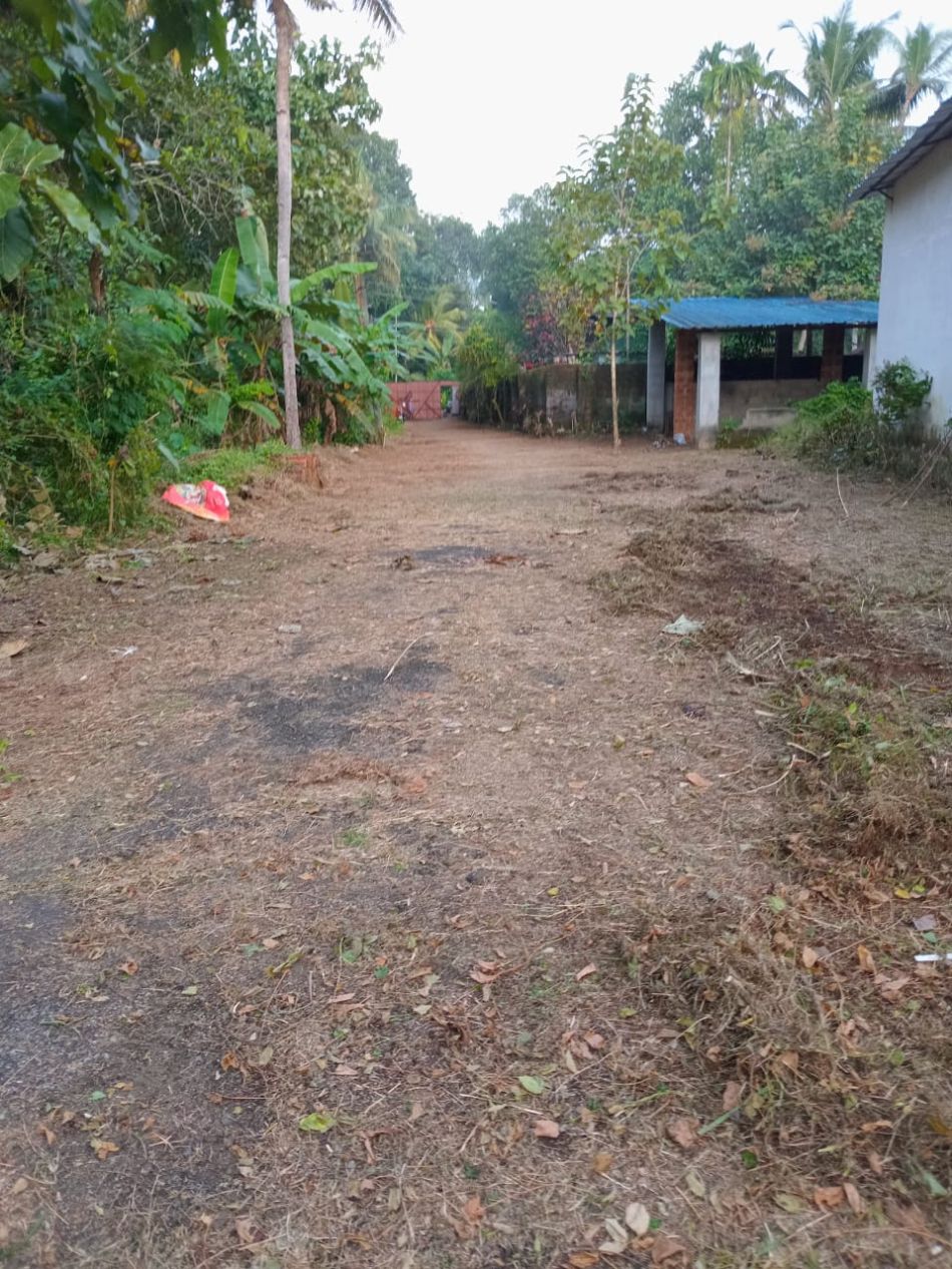 Commercial Land For Sale