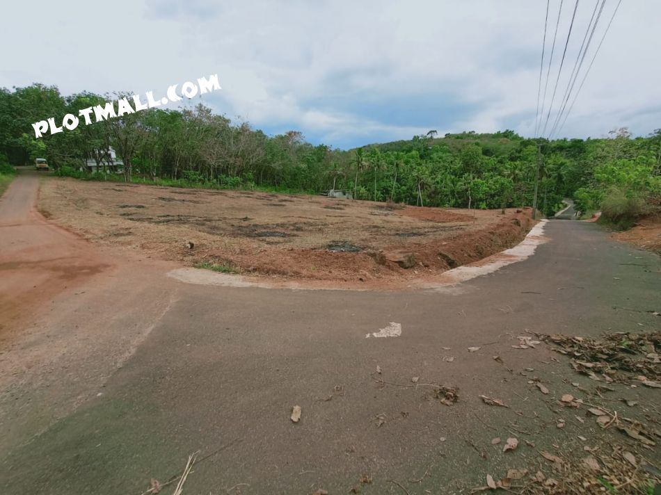 Commercial Land For Sale