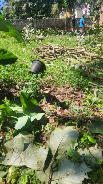 18 Cent Commercial Land for Sale at  Budget - 25000000 Total