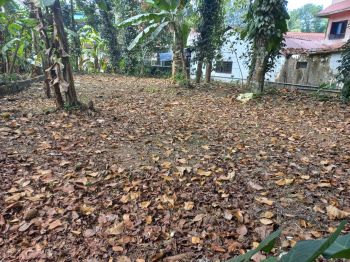 10 Cent Commercial Land for Sale at Kaduthuruthy Budget - 650000 Cent