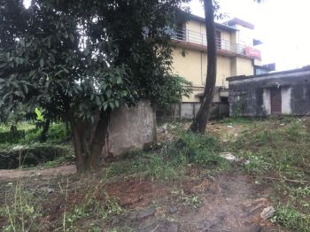 79 Cent Commercial Land for Sale at Kanjikode Budget - 1 Cent