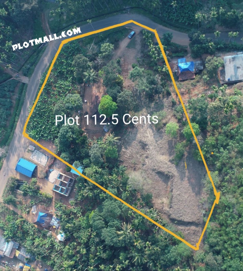 112.5 Cent Commercial Land for Sale at Kalpetta Budget - 150000 Cent