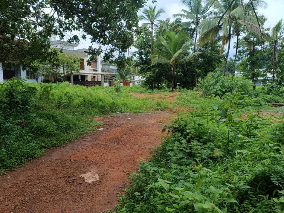 Commercial Land For Sale