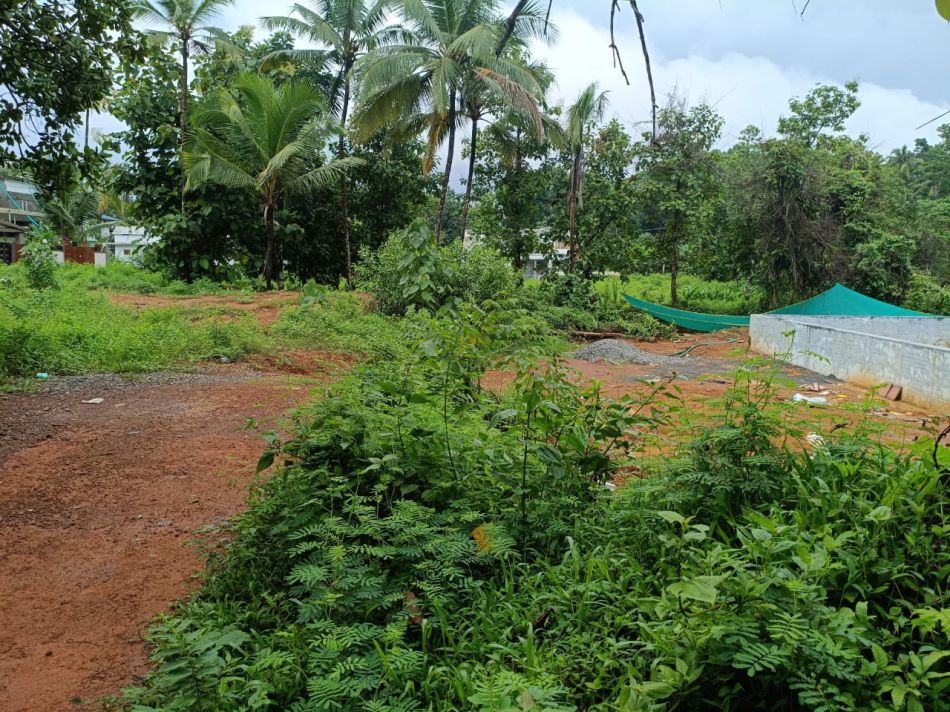 Commercial Land For Sale