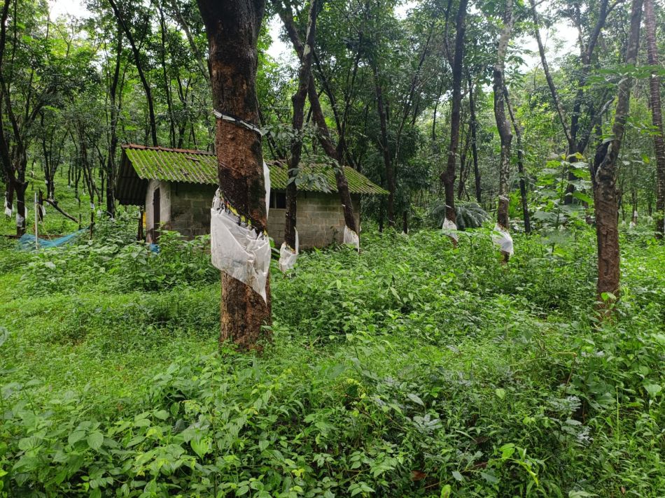 Commercial Land For Sale