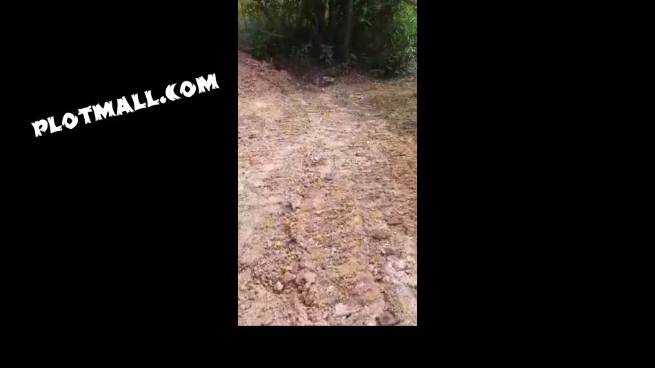 Commercial Land For Sale