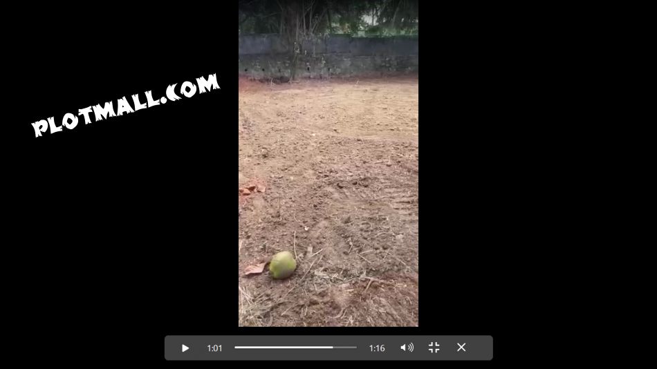 Commercial Land For Sale