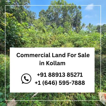 46 Cent Commercial Land for Sale at  Budget - 230000 Cent