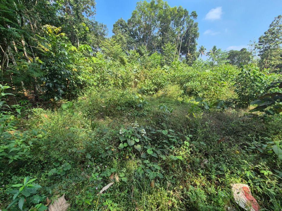 Commercial Land For Sale