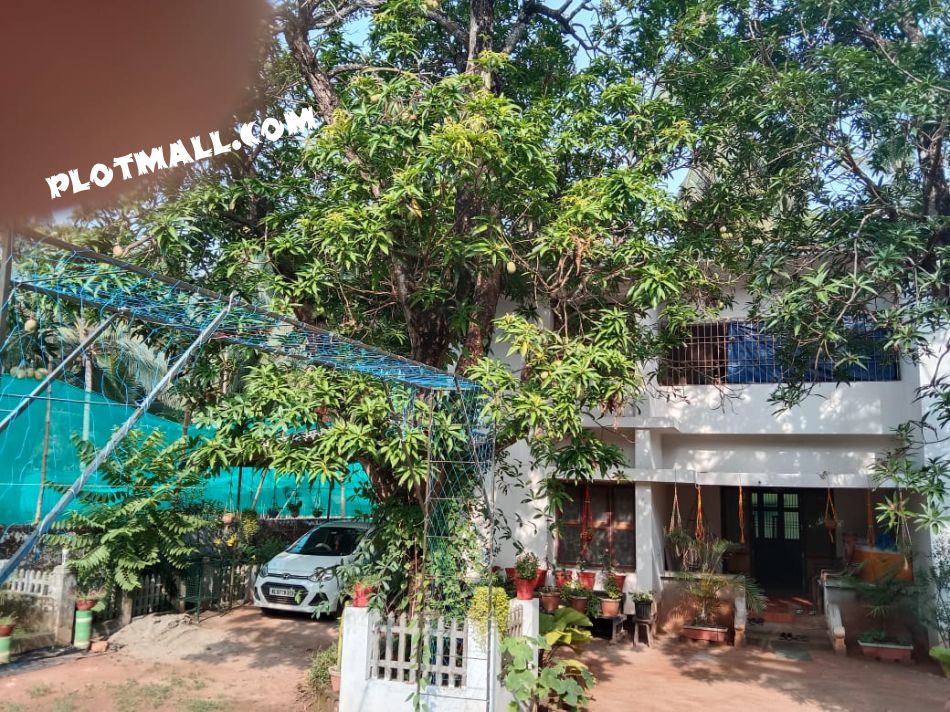 Commercial Land For Sale