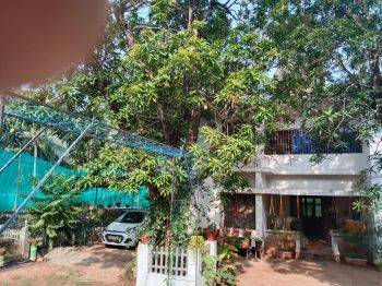 20 Cent Commercial Land for Sale at Kettangal Budget - 50000000 Total