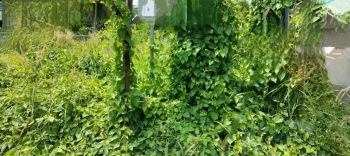 30 Cent Commercial Land for Sale at Thrissur Budget - 4200000 Cent