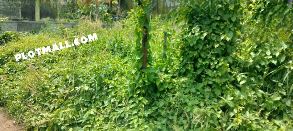 Commercial Land For Sale
