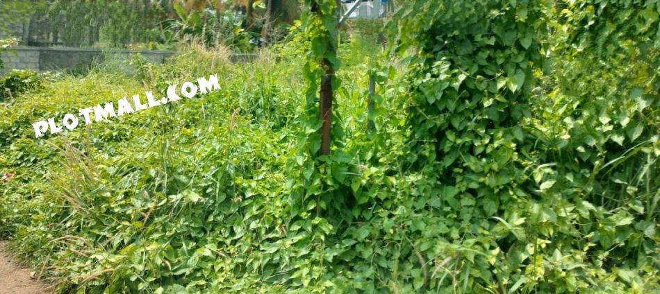 Commercial Land For Sale