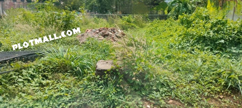 Commercial Land For Sale