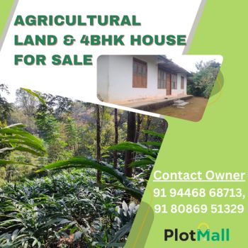 4 Acre Farm House for Sale at Idukki Budget - 3800000 Acre