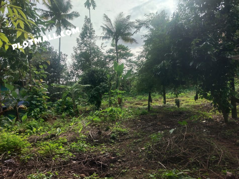 House / Villa For Sale