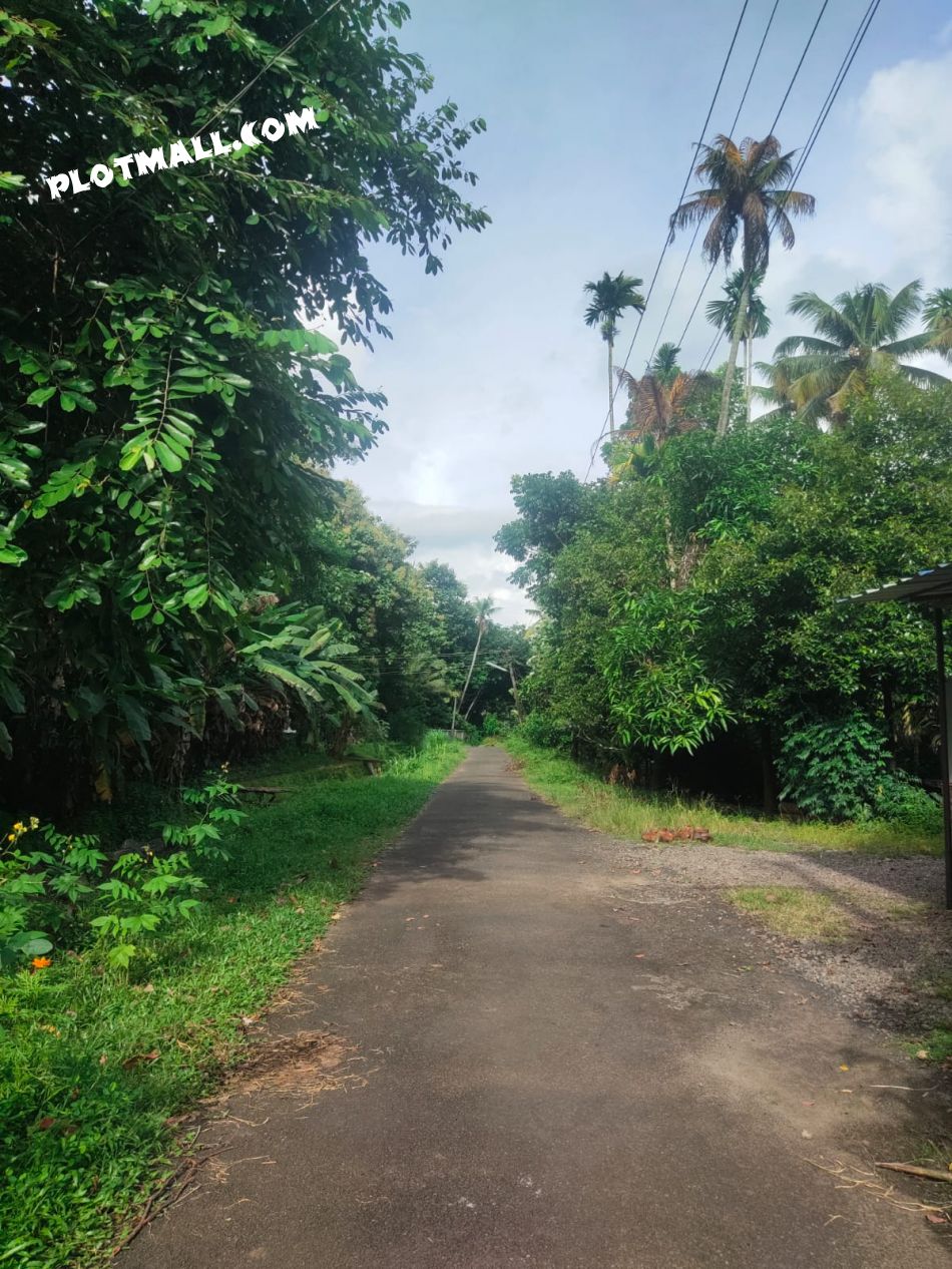 House / Villa For Sale