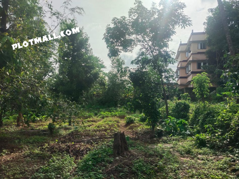 House / Villa For Sale