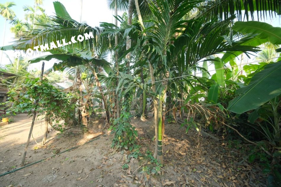 House / Villa For Sale