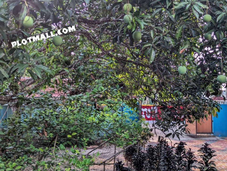 House / Villa For Sale