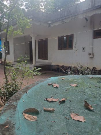 26.5 Cent House / Villa for Sale at Kangazha Budget - 2700000 Total