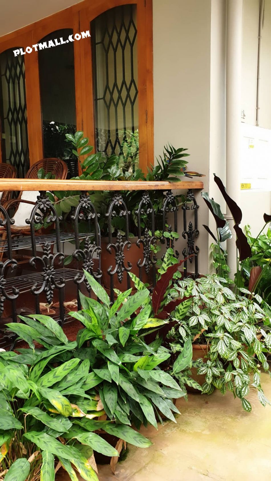 15 Cent House / Villa for Sale at Kannur Budget - 85000000 Total