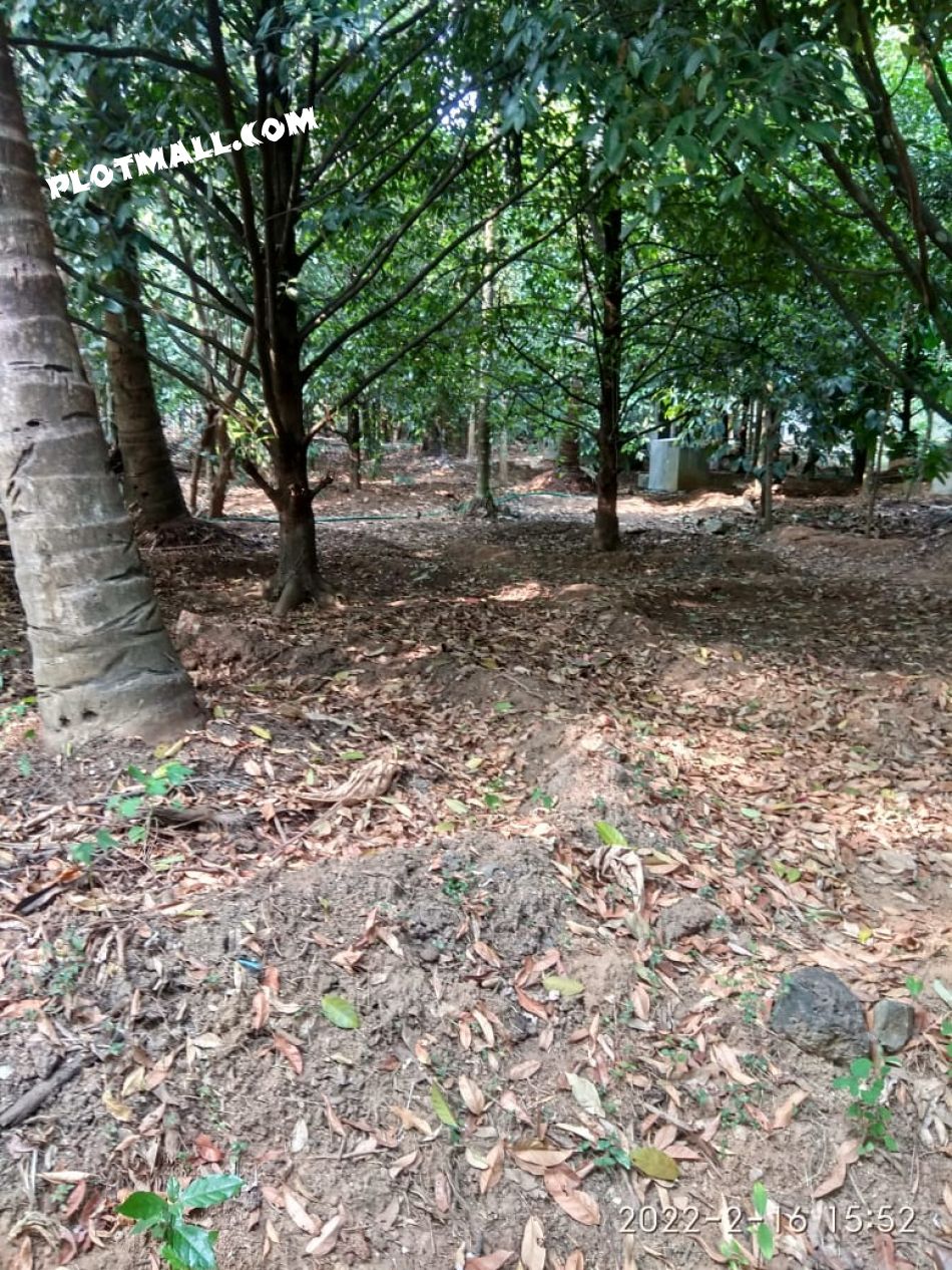 House / Villa For Sale