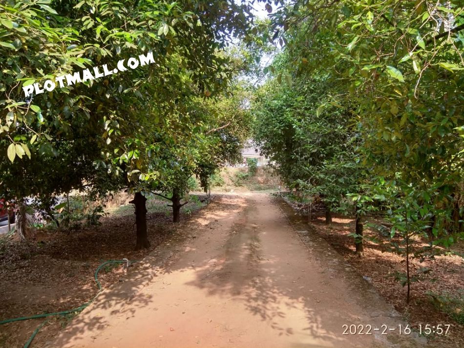 House / Villa For Sale