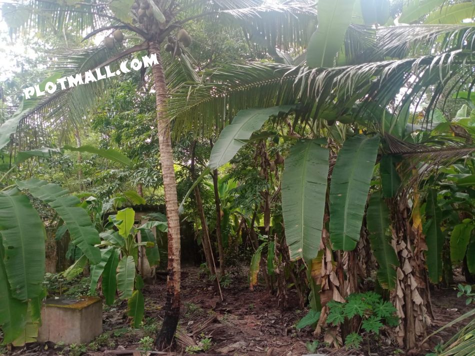 House / Villa For Sale