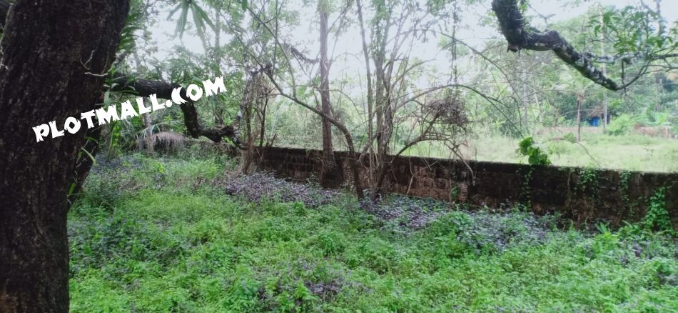 Residential Land For Sale