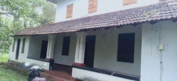 1.28 Acre Residential Land for Sale at Kokkanissery Budget - 800000 Cent